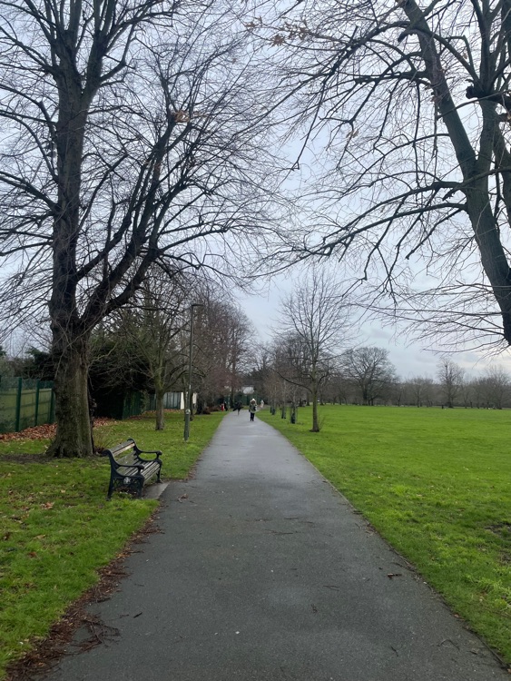 A photo of Hyde Park
