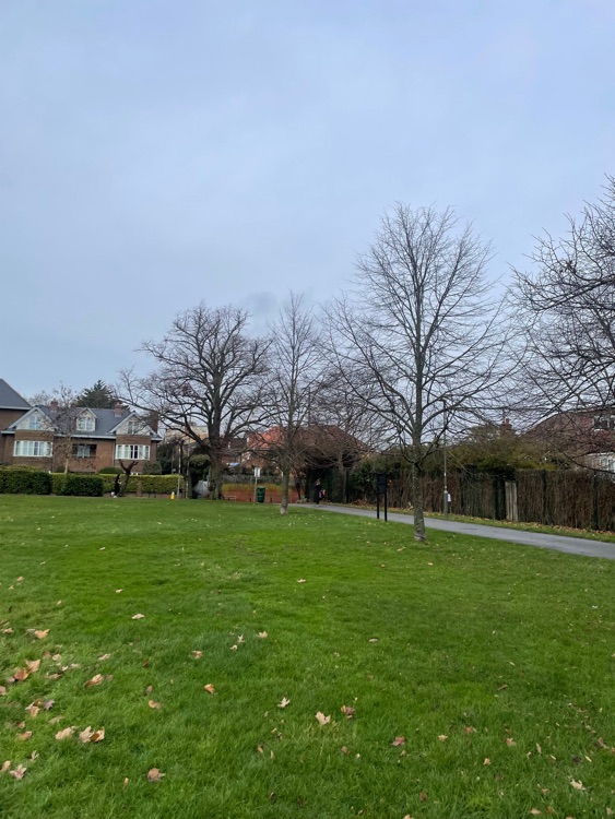 A photo of Hyde Park