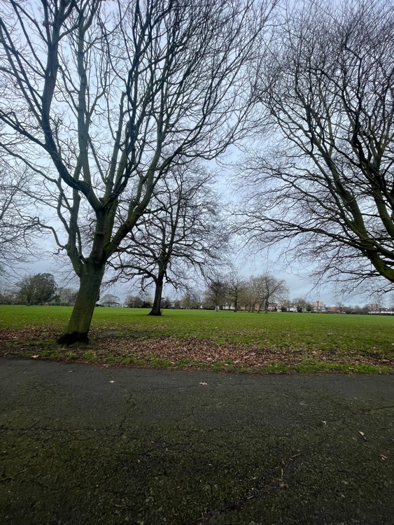 A photo of Hyde Park