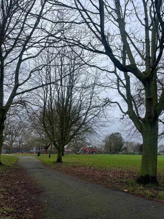 A photo of Hyde Park