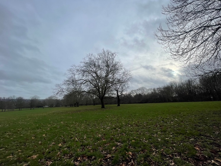 A photo of Hyde Park
