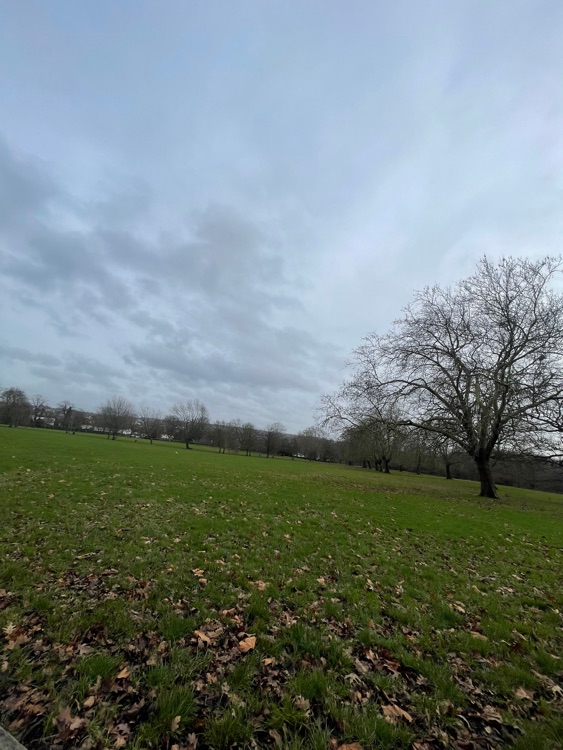 A photo of Hyde Park
