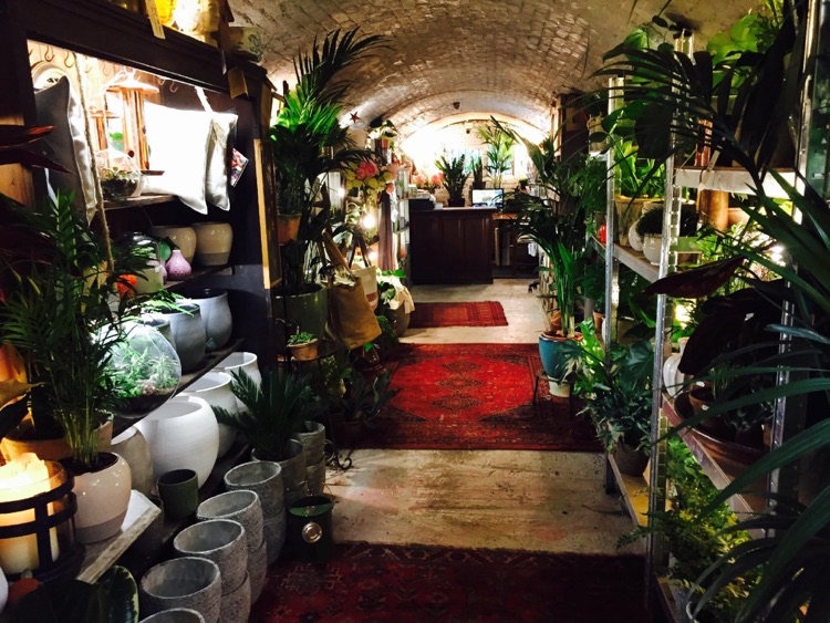 A photo of The Nunhead Gardener