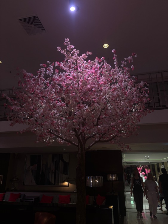 Фото: Panorama Sky Bar
