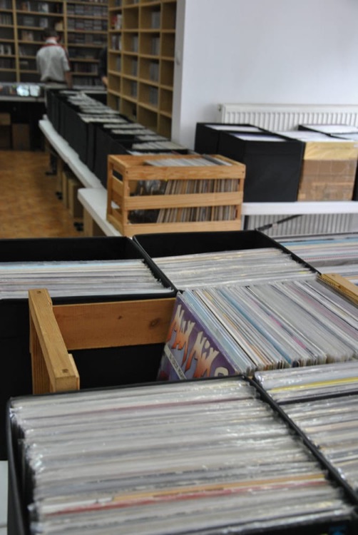 A photo of Music Fan