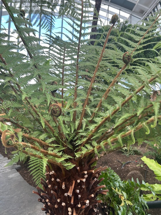 A photo of Sky Garden