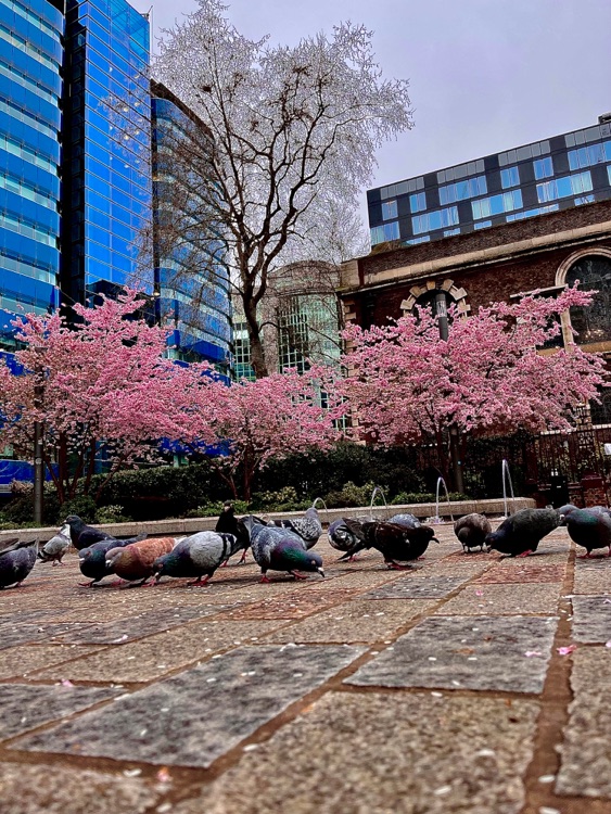 A photo of Aldgate Square