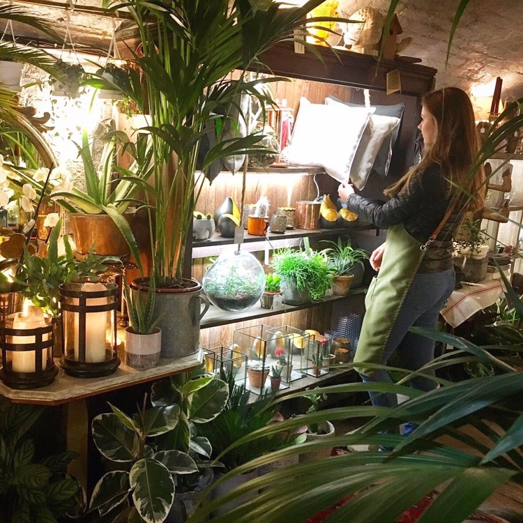 A photo of The Nunhead Gardener