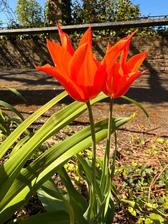 A photo of Ruskin Park