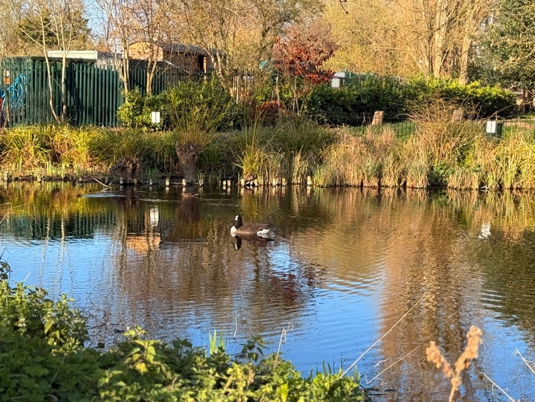 A photo of Ruskin Park
