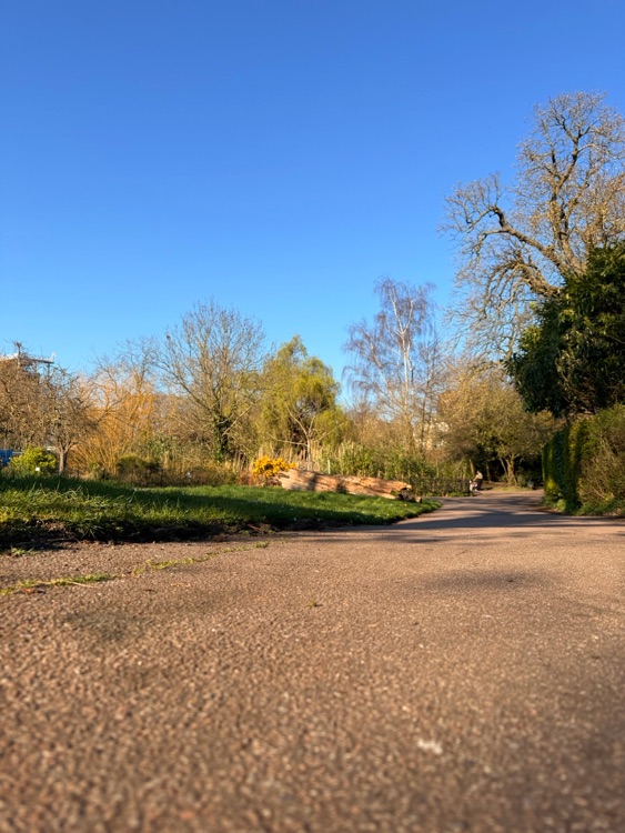A photo of Ruskin Park