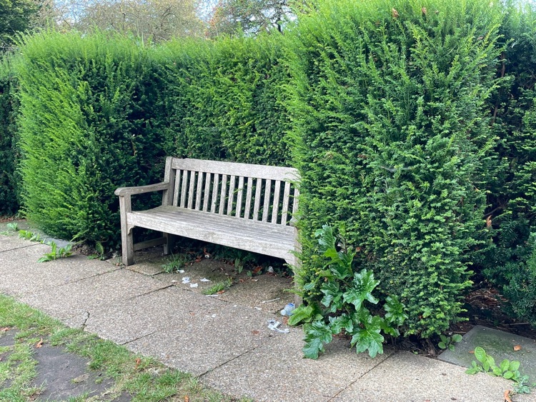 A photo of Ruskin Park