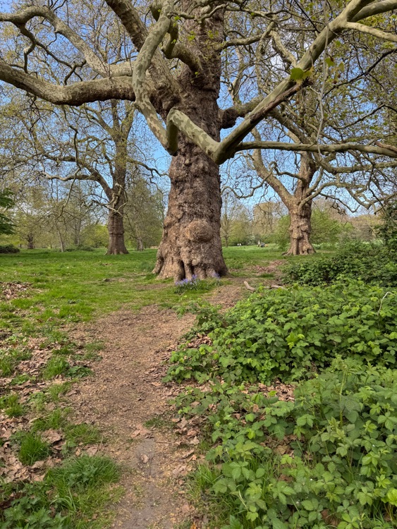 A photo of Hyde Park