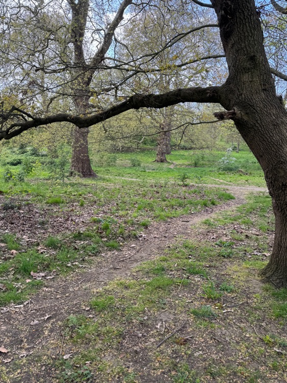 A photo of Hyde Park