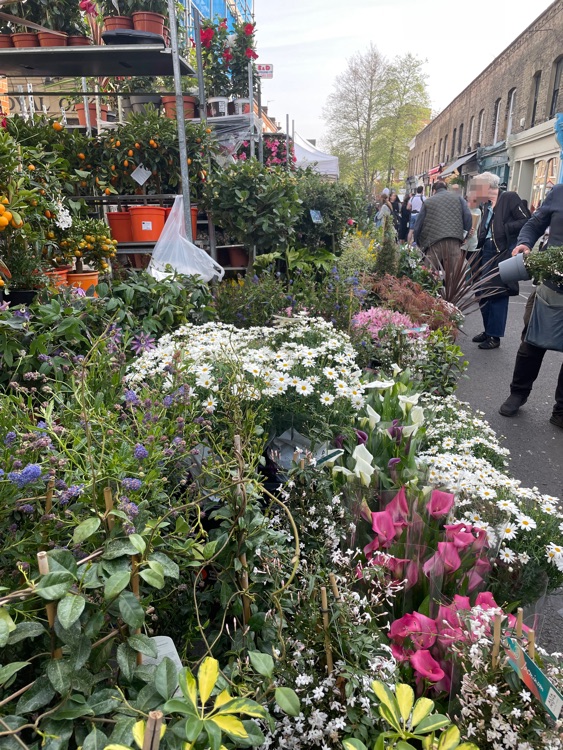 A photo of Columbia Road Shops & Flower Market