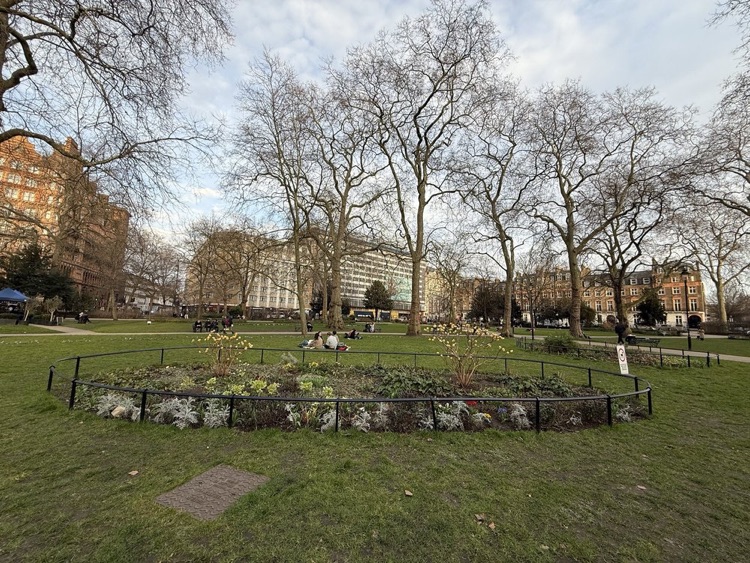 Park view