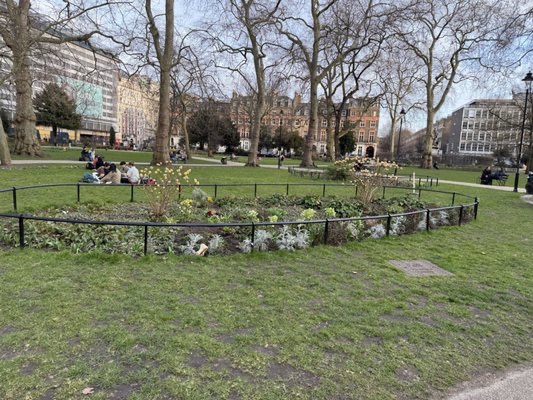 Park view
