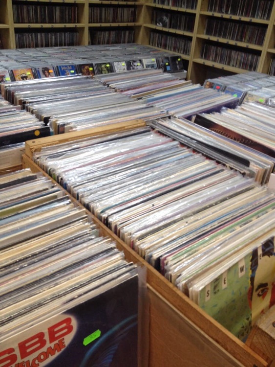 A photo of Music Fan