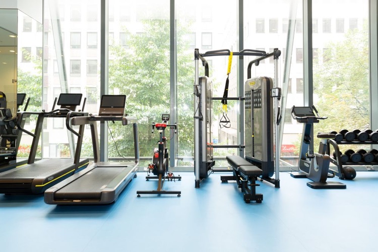 Our gym and rehab space.